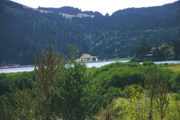 istock Bolu Abant lake! 1177667726