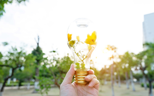 Hand holding light bulb with flower.