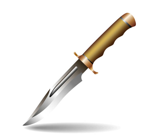 hunermesser - dagger military isolated bayonet stock-grafiken, -clipart, -cartoons und -symbole