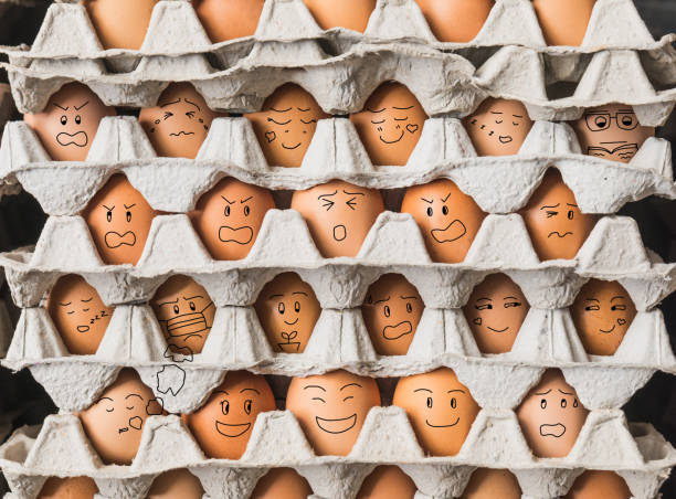 The funny eggs with emotion as people live in condominium