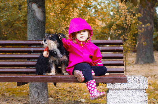 little girl in a pink coat playing with her outbreed puppy in the park in the rain