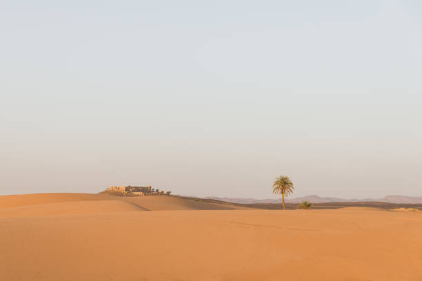 istock The arabian house with palm tree in Sahara desert 1177694151