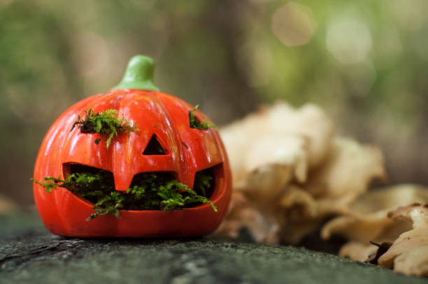 istock decorative pumpkin for halloween in the grass 1177695379