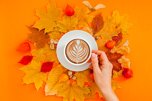 Autumn flat lay composition with dry leaves wreath frame and coffee latte cup in woman hand on bold orange color background. Creative autumn thanksgiving, fall, halloween concept. Top view, copy space