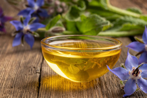 A bowl of borage oil with blooming borage plant stock photo