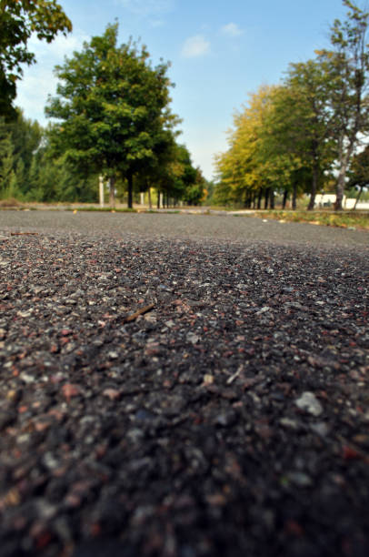 istock yellow dry yellow leaf on asphalt background 1177702663