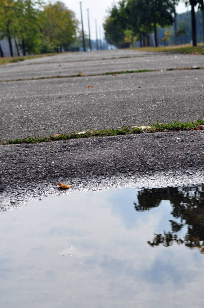 istock display of autumn landscapes in a puddle 1177702716