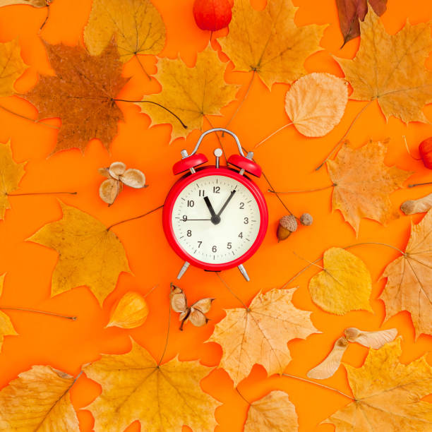 istock Autumn postcard with fall leaves and alarm clock 1177705692