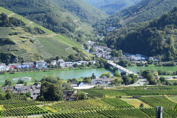 istock Mosel valley town Zell 1177706820