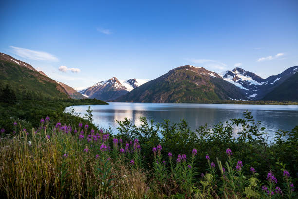 istock Portage Lake Landscape 1177719399