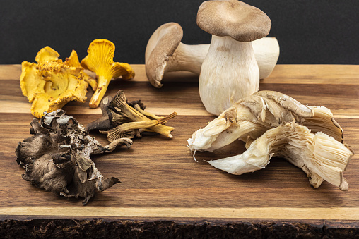 Studio image of wild edible mushrooms: Oyster mushroom, golden chanterelle,  funnel chanterelle, black chanterelle’s and king trumpet mushroom (oyster family)