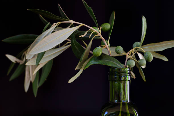 una bottiglia di vetro verde su sfondo scuro con un ramo d'ulivo e olive in esso - olive tree oil industry cooking oil foto e immagini stock