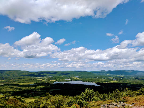 istock Natural Landscape with Trees and River 1177726541