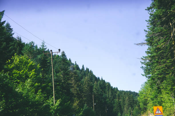 istock Safranbolu and the landscape! 1177726607