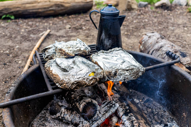 blauer tee-wasserkessel und folie gewickeltes gemüse auf grill in feuerstelle auf dem campingplatz mit roten flammen feuer brennt am abend - fire pit fire camping burning stock-fotos und bilder