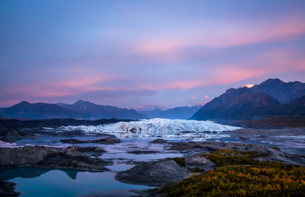 Autumn sunset pink and purple above the Matanuska Glacier in Alaska. Clouds pink and purple at sunset over the Matanuska Glacier in Alaska. Below the glacier a calm lake reflects the colors and leaves have started to turn yellow for Autumn. chugach mountains photos stock pictures, royalty-free photos & images