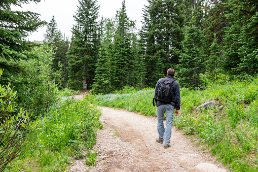 Albion Basin, Utah summer trail in 2019 season in Wasatch mountains with man walking with backpack on dirt road