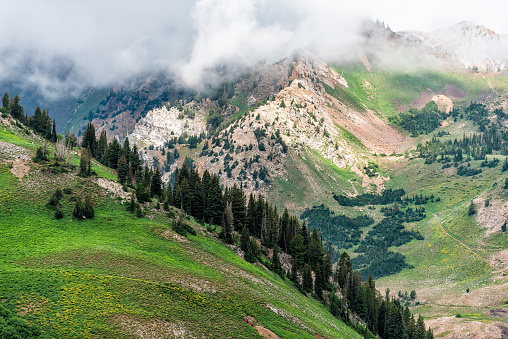 Albion Basin, Utah summer meadows in morning in 2019 with clouds on stormy day and mist fog covering blanketing rocky Wasatch mountains