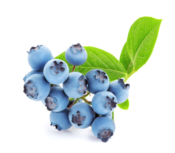 istock bunch of blueberry 1177731112
