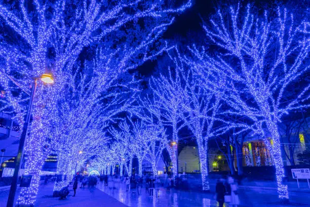 Photo of Shibuya Blue Cave winter illumination festival