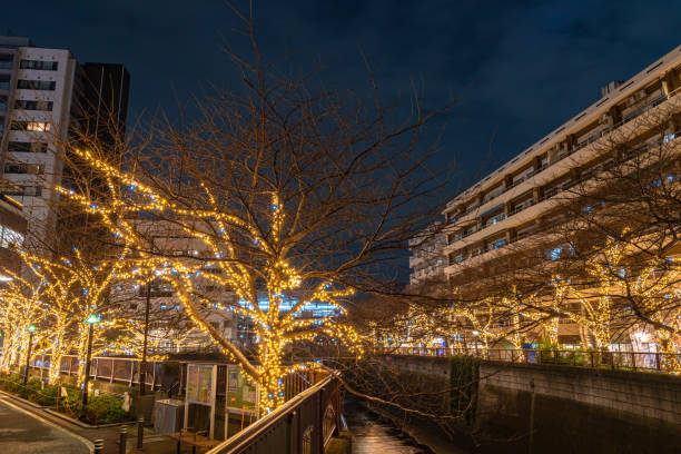 istock Meguro River winter illumination festival 1177731322