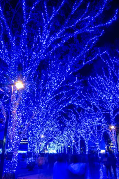 Photo of Shibuya Blue Cave winter illumination