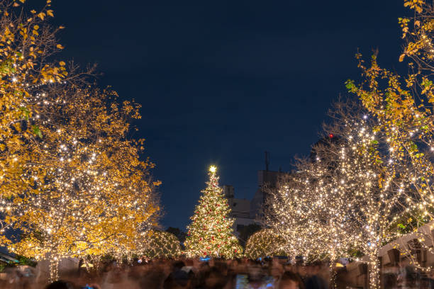 yebisu garden place festival de iluminación de invierno - ginkgo tree ginkgo tree japan fotografías e imágenes de stock