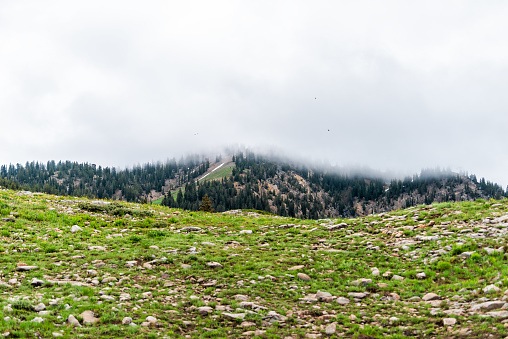 Albion Basin, Utah summer cloudy day in 2019 with clouds on stormy morning and mist fog covering blanketing rocky Wasatch mountains