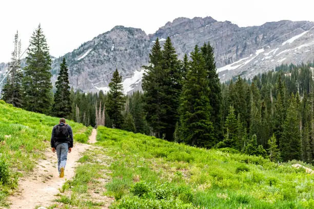 Albion Basin, Utah pine trees and man walking on summer dirt road trail in 2019 in Wasatch mountains with rocky snowy Devil's Castle mountain