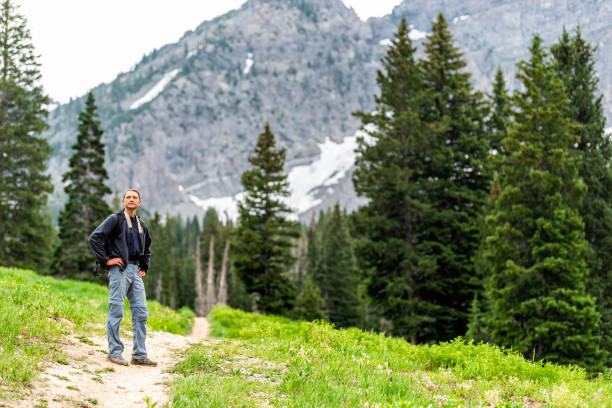 albion basin, utah pine trees and man standing on summer dirt road trail in 2019 in wasatch mountains with rocky snowy devil's castle mountain - 16204 imagens e fotografias de stock