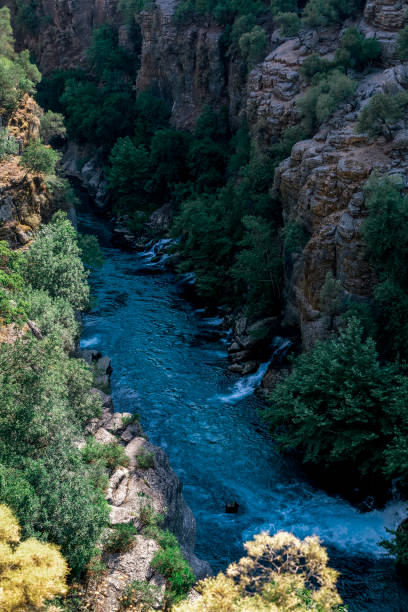 koprulu canyon recursos hídricos manavgat turquia - waterfall antalya turkey forest - fotografias e filmes do acervo
