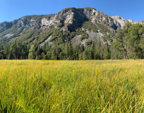 istock View in Yosemite National Park 1177741906