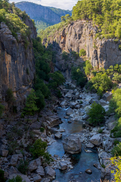 istock Koprulu Canyon Water Resources Manavgat Turkey 1177741969