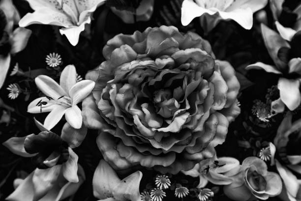 istock Flowers in the garden 1177743809