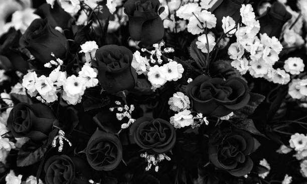 istock Flowers in the garden 1177743816