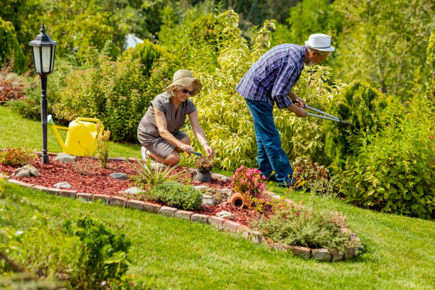 istock Couple looking after flowers in the garden 1177746064