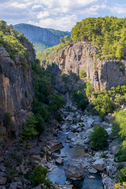 istock Koprulu Canyon Water Resources Manavgat Turkey 1177746096