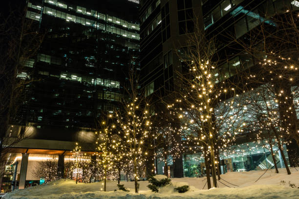 istock Christmas lights twinkle in the city, Calgary, Alberta, Canada 1177749455