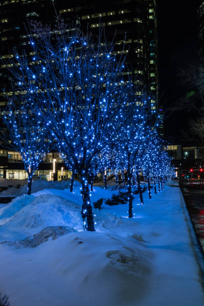 istock Christmas lights twinkle in the city, Calgary, Alberta, Canada 1177749492