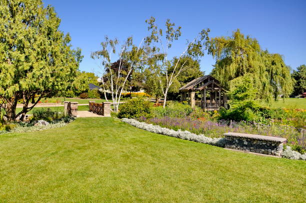 istock Humber Arboretum in Toronto 1177750992