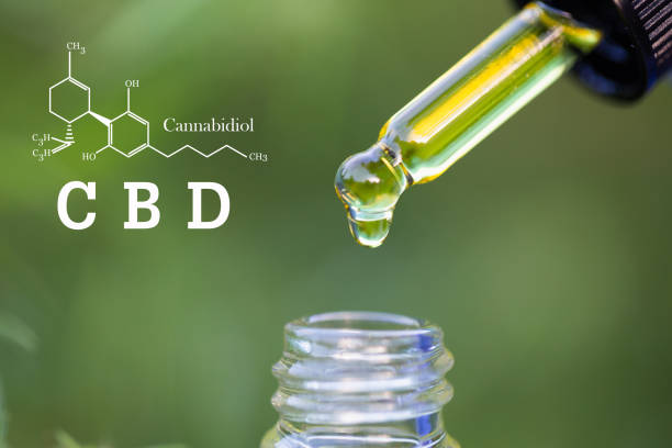 Hemp oil, CBD chemical formula, Cannabis oil in pipette, Medical herb concept Hemp oil, CBD chemical formula, Cannabis oil in pipette, Medical herb concept cannabaceae stock pictures, royalty-free photos & images