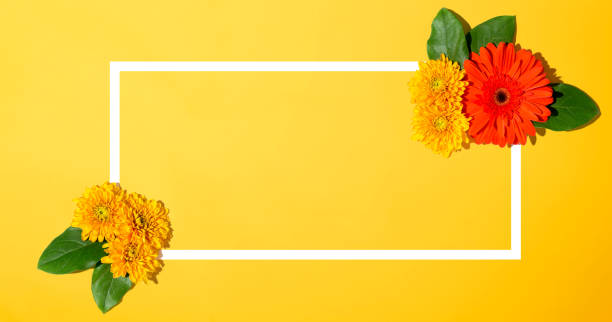 istock Autumn flowers from above 1177762973