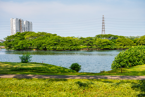 Golf field with lake, green trees, and power tower, in downtown of Jakarta