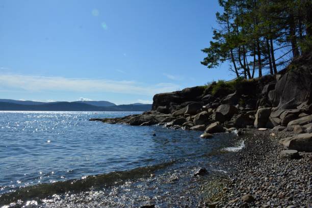istock Galiano Island 1177766288