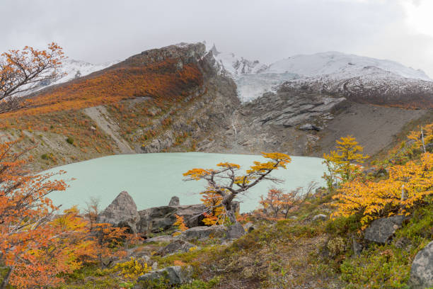 Huemul Glacier, El Chalten Argentina