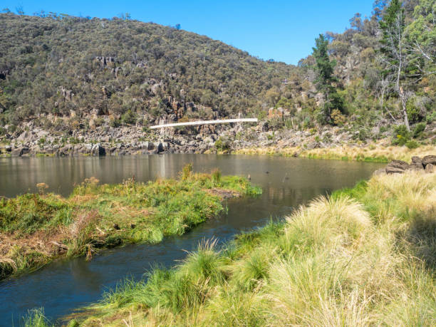 istock Alexandra Suspension Bridge in Launceston 1177769139