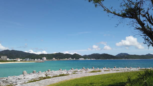 istock Yukiyoshi Beach - Okinawa 1177771819