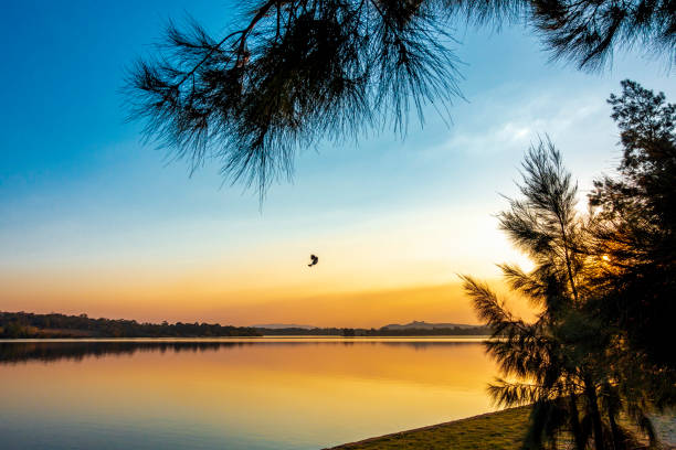 istock A calm lake at late afternoon 1177776079