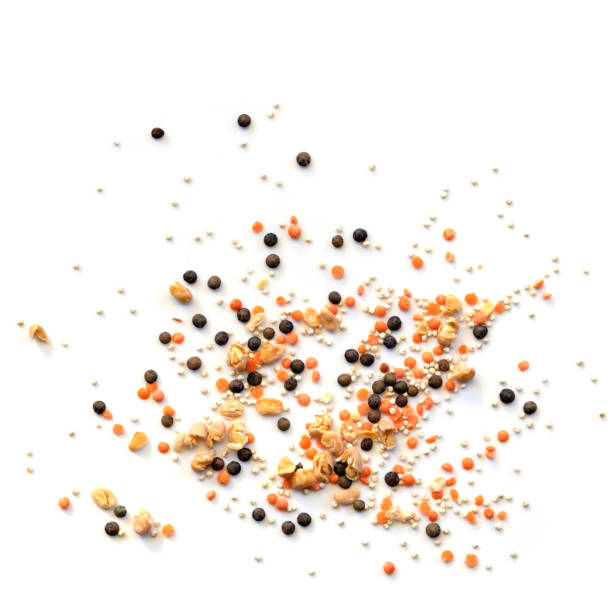 istock Lentils Quinoa and Dried Beans Scattered Isolated on White 1177777983