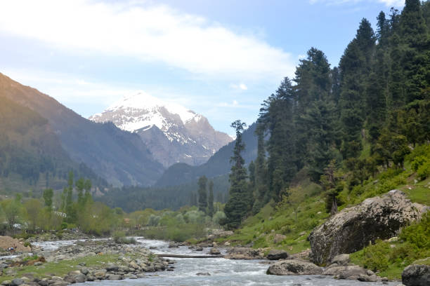 majestic jhelum river, a tributary of the indus river, passes through the kashmir valley bounded by the pir panjal range and the himalayas range. jammu and kashmir, india - mountain himalayas india mountain range imagens e fotografias de stock